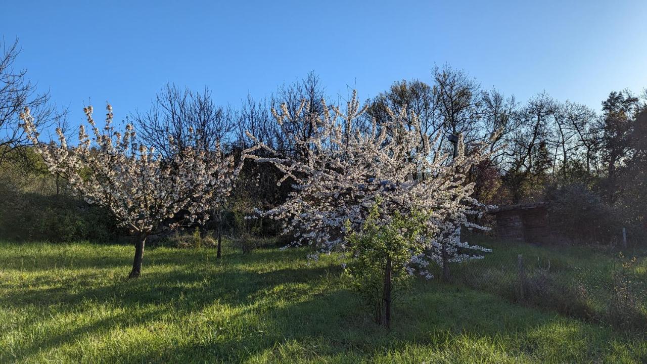 Grande Maison Carpediem, Le Calme A La Campagne Cassaignes Exterior foto