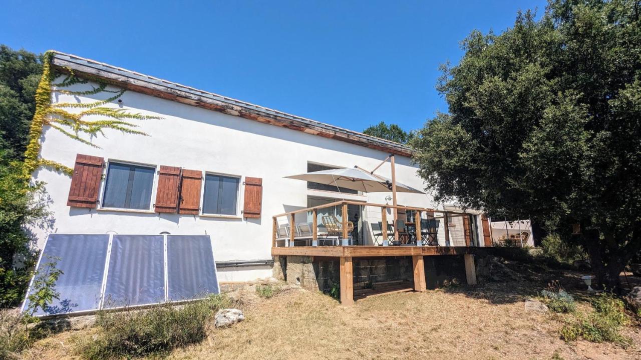 Grande Maison Carpediem, Le Calme A La Campagne Cassaignes Exterior foto